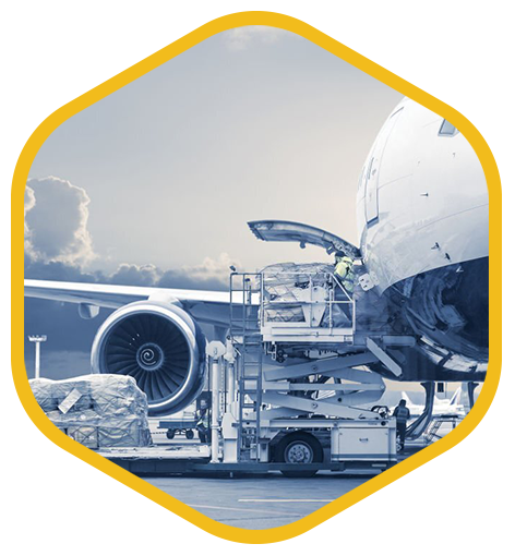 Air Carrier, Passenger & <span class="text-sky-400">Cargo Management</span>
