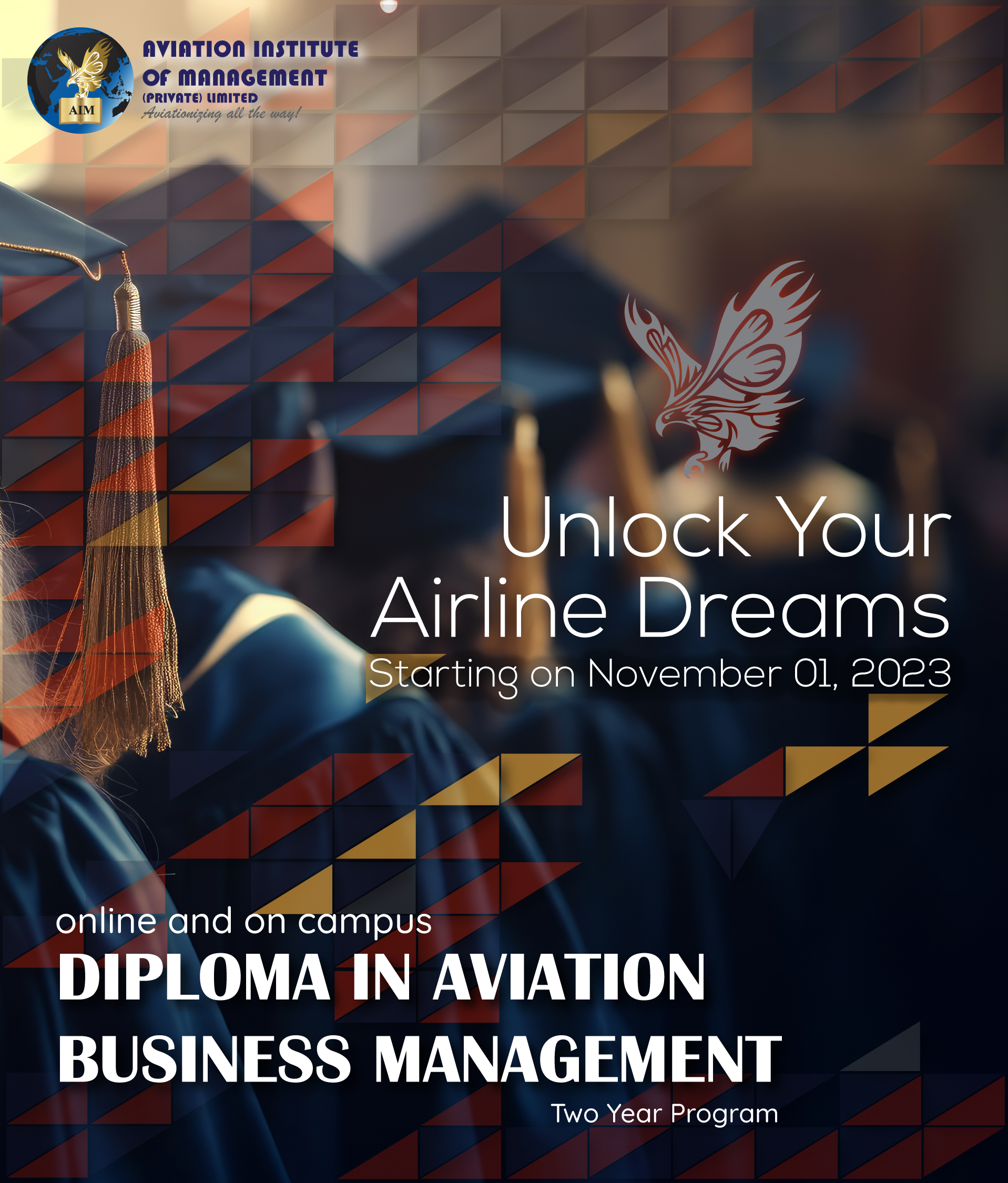 Diploma in Aviation Business Management