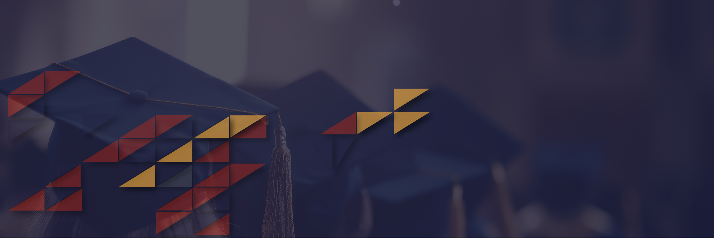 Diploma in <span class="text-amber-400">Aviation Business Management</span>
