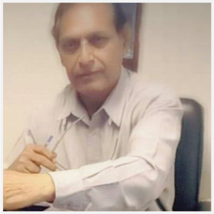 Wg. Cdr. (R) Hadi Rizvi